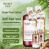 Zhuolanya Ginger Anti-Hair Loss Shampoo & Tonic Set