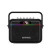 Newmine K112 Portable Bluetooth Karaoke Speaker CN plug (adapter included)