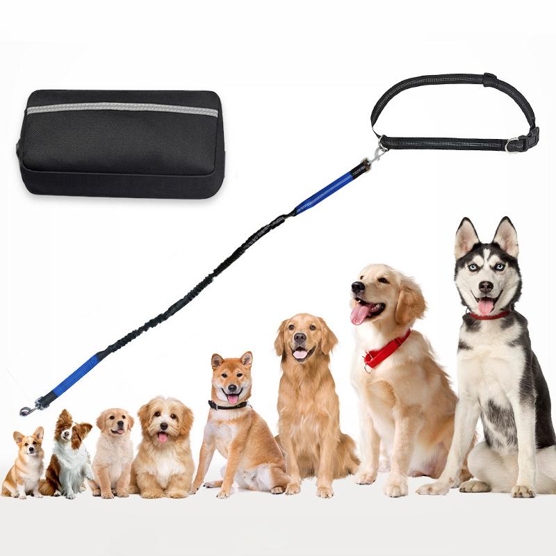 Multifunctional Sports Waist Bag Extended and Thickened Leash for dog walking and dog leash pet running leash with waist bag