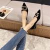 2025 Spring and Autumn New Pointed Tip Shallow Mouth Single Shoes Women's Season Thick Heel Rhinestone Metal Buckle Versatile Soft Leather Flat 