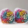 Baby's Breath Dried Flower Bouquet for Living Room Decor - Real Fresh Cut Flowers, Perfect for Gifting and Decorative Ornaments.