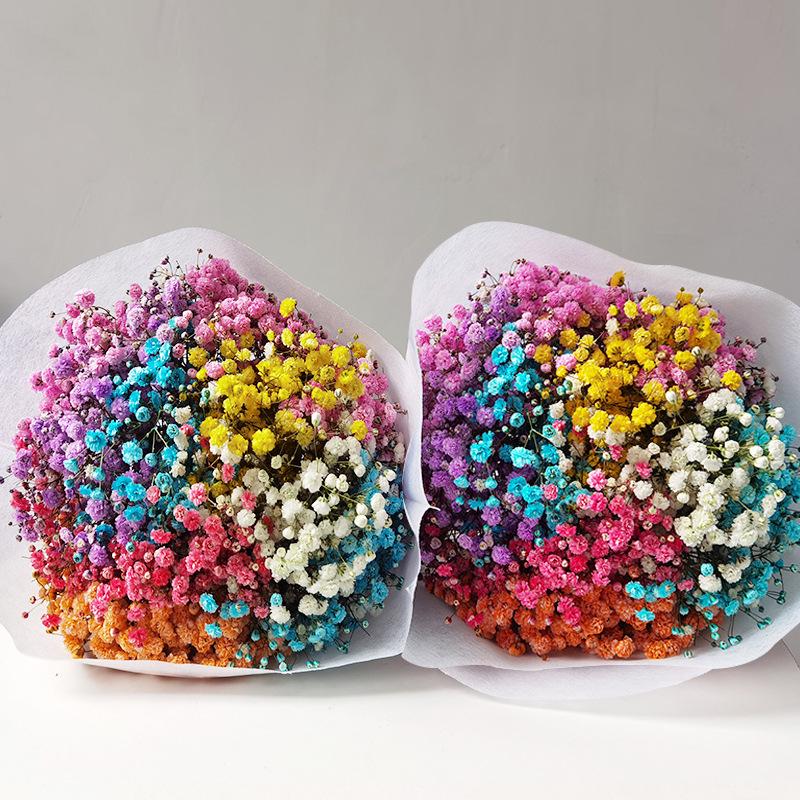 Baby's Breath Dried Flower Bouquet for Living Room Decor - Real Fresh Cut Flowers, Perfect for Gifting and Decorative Ornaments.
