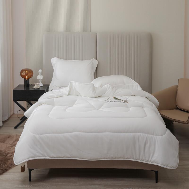 

Southern Bedding Skin-Friendly Spring/Autumn Polyester Quilt