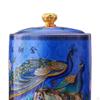 Ceramic Tea Canister Storage Bottle Jar Glazed Hand Painted Container Sealed