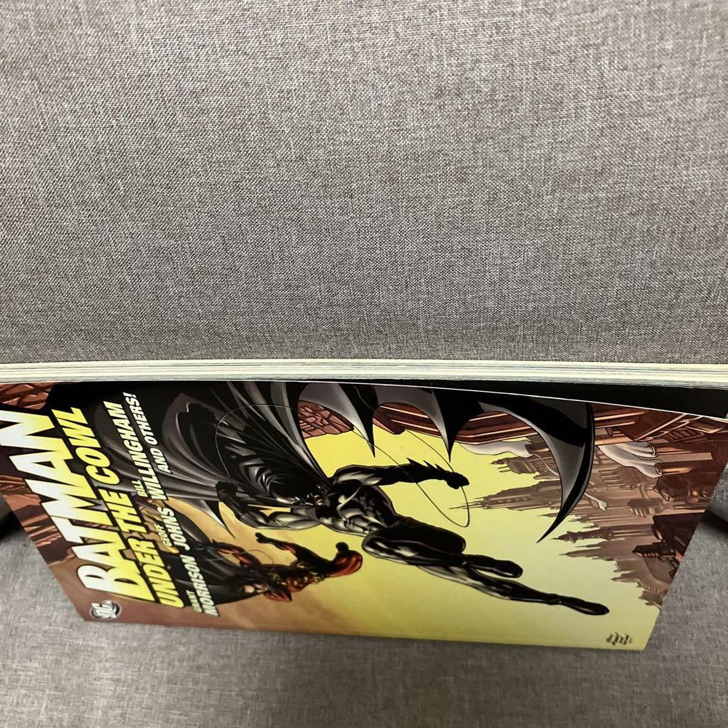 [USED] Batman: Under The Cowl Justice League Robin