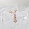 Smykker og accessoires – Piercing