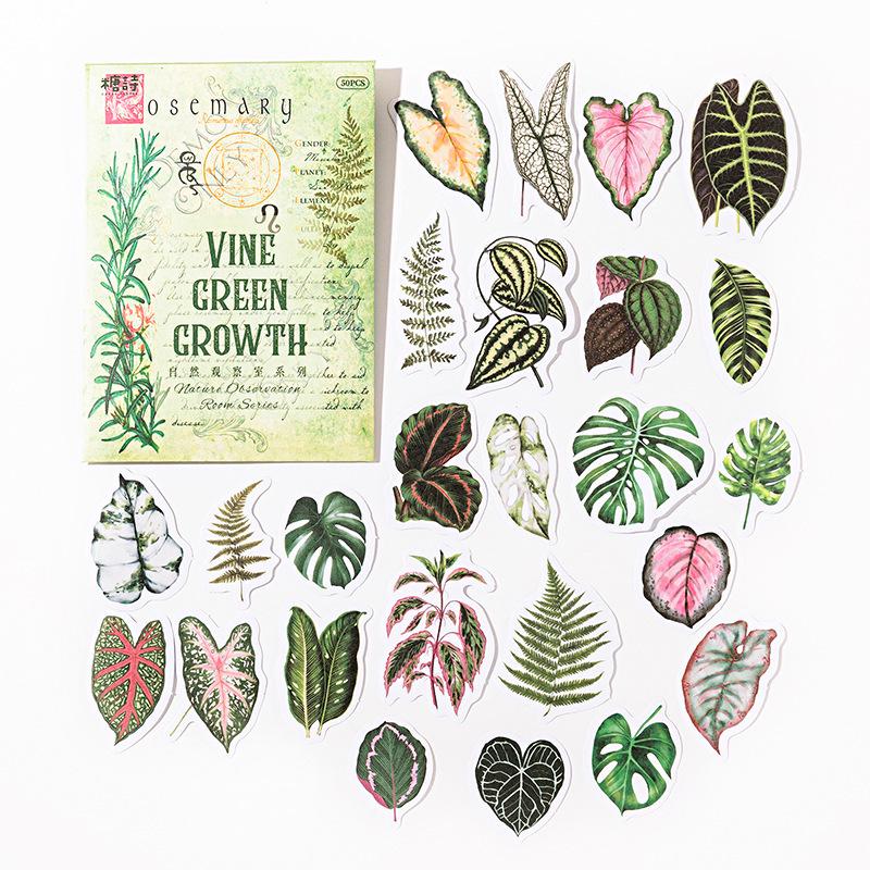 Серия «Наблюдение за природой» - Ретро набор стикеров из японской бумаги васи для DIY-журналов (6 стилей)