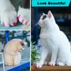 120 Stuks Katten Nageldopjes Natuurlijk Veilig Kattenklauw Hoesjes Tips met Lijm En Applicators Niet-Toxisch 6 Kleuren Katten Nagelhoesjes
