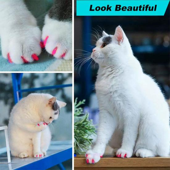 120 Stuks Katten Nageldopjes Natuurlijk Veilig Kattenklauw Hoesjes Tips met Lijm En Applicators Niet-Toxisch 6 Kleuren Katten Nagelhoesjes