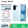 Vivo S30 Pro Mini (CN Version)