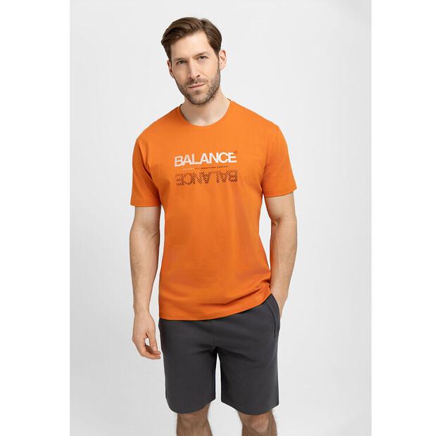 Футболка Volcano T-Balance EU M