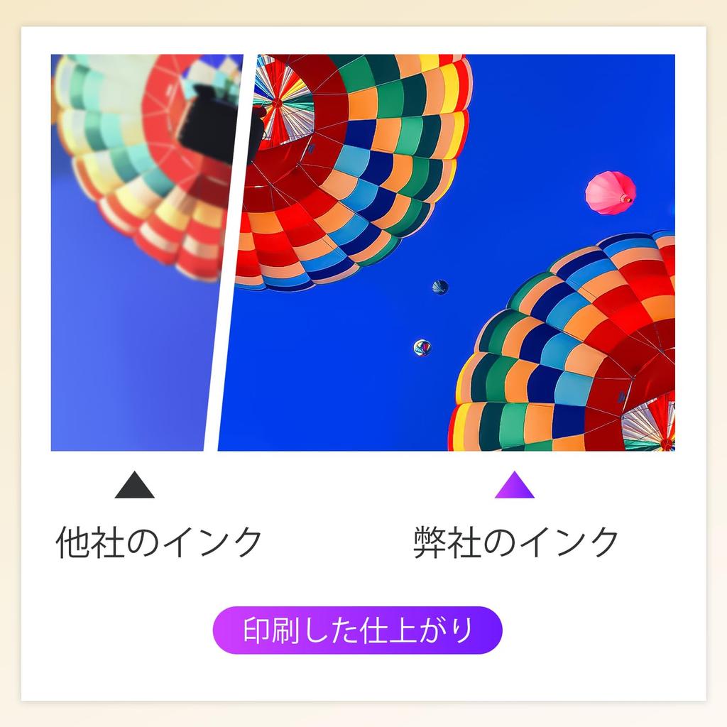 Delightcolor Remanufactured Ink Cartridges for Canon XL and XL and Set of 2 Ink with Ink Level Display with PIXMA BC-365 BC-366 (Black Color) -