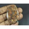 30X48X05MM Natural Bird Eye Jasper Oval Shape Cabochon Loose Gemstone 68Cts. G-284