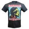 Men's T-shirt -JIMI HENDRIX IN CONCERT-Music Tee Vintage Heather Grey NEW