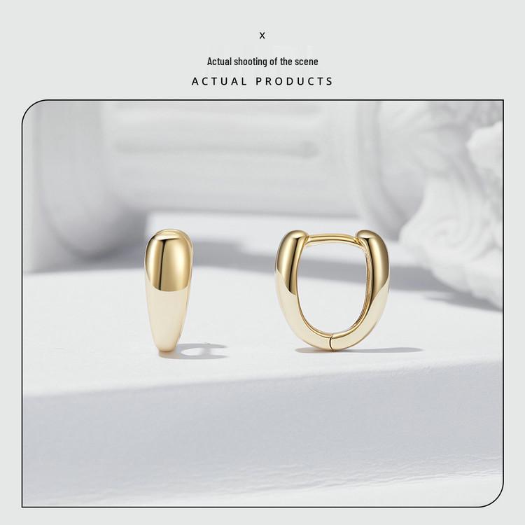 Aifle Daily Contrast Color Double Ring Earrings - S925 Sterling Silver Plated Platinum Jewelry for Women