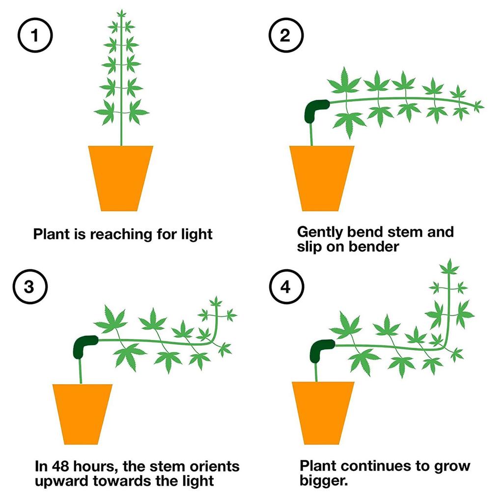 Plant Bending Trainer Low Pressure Branches Sprigs Tomato Plant Clips Pepper Clips Branch Accessories Plant Stands