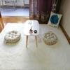 Solid Colour Fluffy Minimalist Style Indoor Carpet Bedroom Bedside Floor Mat Fluffy Plush Carpet Non-slip Floor Mat