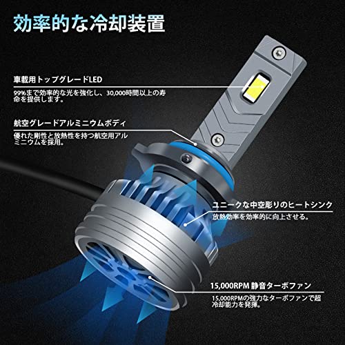 DayPlus Auto LED Scheinwerfer HB4 9006 LED Fernlicht/Abblendlicht Autolampe Kompatibel mit Nebelscheinwerfern 4000LM Integriert Neue Fahrzeuguntersuchung Konform