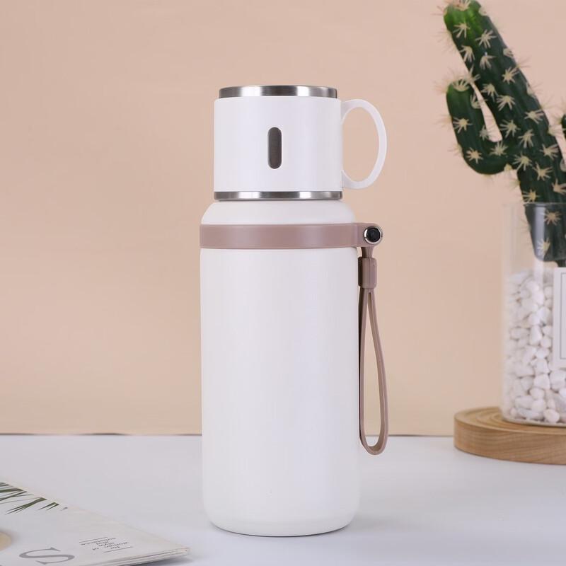 Shangqi Portable Tea Infuser Insulated Bottle