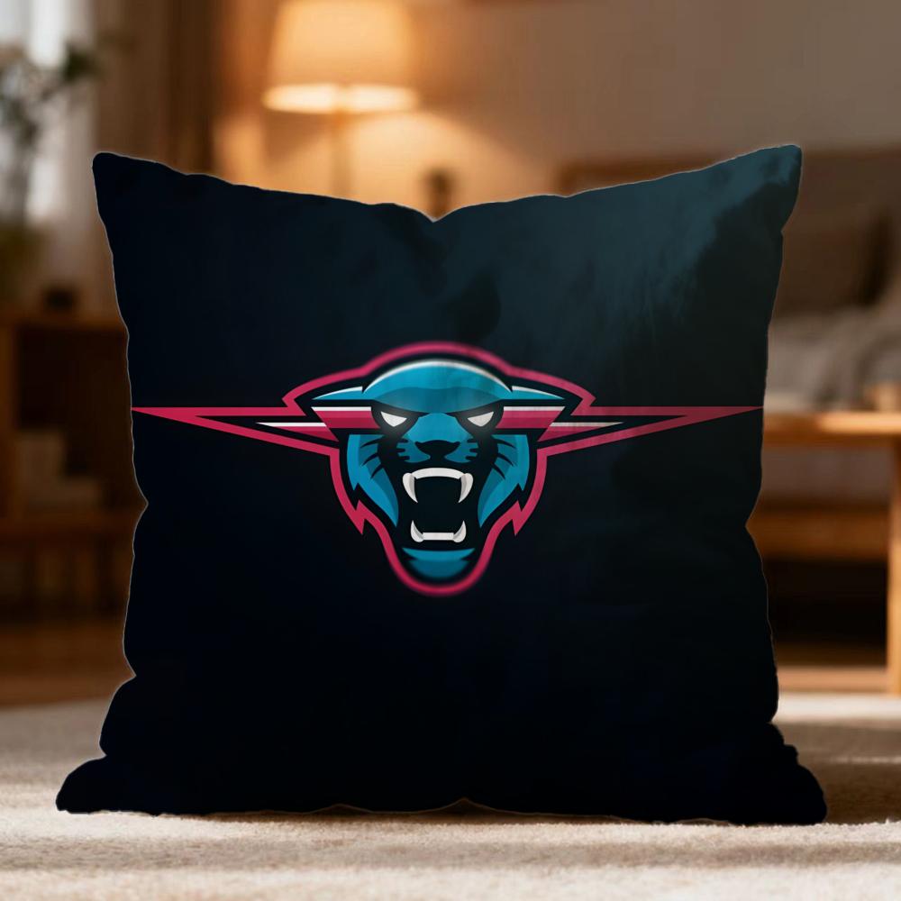 

Popular B-BBeast Cushion Cover Soft Washable Pillow Case Multi-Scene for Couch Bed Travel Office Use 30cmx30cm
