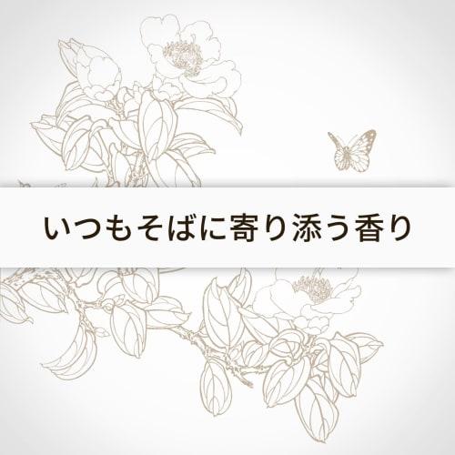 Ceeniu Essential Oil Aroma [SGS Certified - Experience the Allure of Natural Fragrances] Soft French Natural Fragrance (Scent: White Musk) for Car, Ro