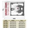 Bruno Mars Tour Flannel Throw Blankets Blankets for Sofa Car Soft Bedding Throws,