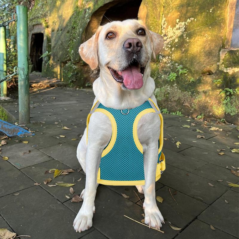 Haustiergeschirr Leicht Weich Verstellbar Atmungsaktiv Für Welpen Kleine Hunde Spazierengehen Laufen Training Wandern Jagen Spazierengehen