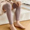 Thicken Warm Long Tube Sock Cover Stripe Foot Warmer Kawaii Coral Fleece Stockings  Autumn