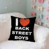 BBackstreet BBoys BSB Case Plush Fabric Soft Pillowcase Double Sided Print Cushion Cover Household Gifts