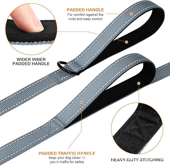 Double Layer Explosion-Proof Reflective Dog Leash - Shock-Absorbing, Thickened Pet Leash