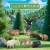 TOYMANY 14-Piece Mini North American Wild Animal Figure Set, Realistic Jungle Animal Models, Brown Bear and Elk Models, Popular Toy, Birthday Gift,