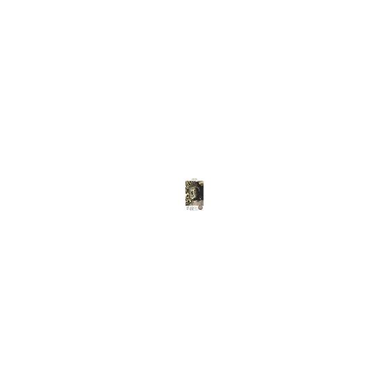 Calendar 2026 Mini Calendar Buddha Statue (Month Turn/Tabletop/Ring) (Yamakei Calendar 2026)