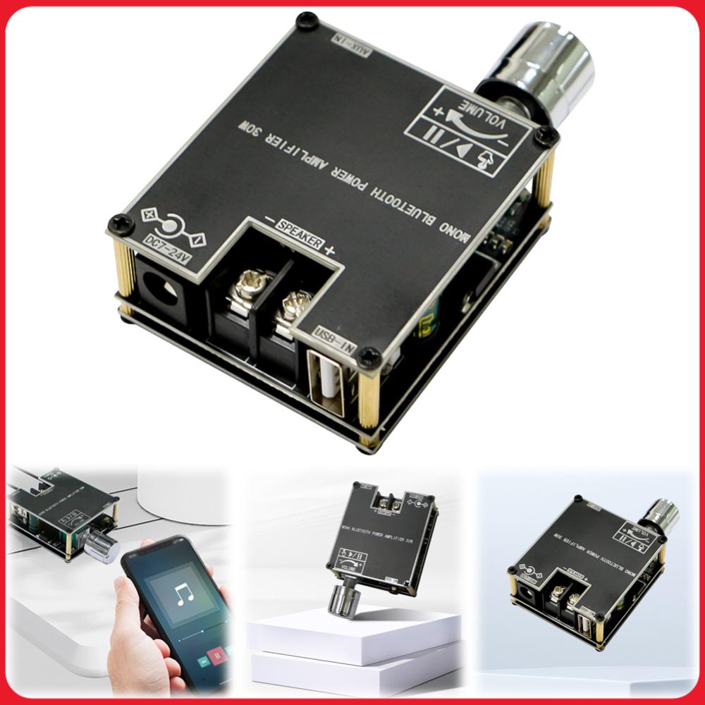 ZK-301B Mono 30W Mono Audio Power Amplifier Module Support Wireless TWS Bluetooth-Compatible 5.1 DC9-24V for DIY BT Speaker Kit