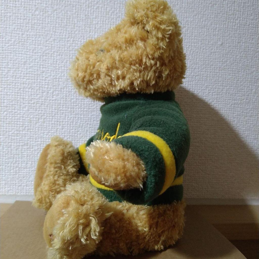 [USED] Harrods Teddy Bear Green Fleece