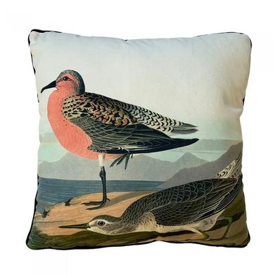 John James Audubon Kissen mit Füllung „Rotkehl-Strandläufer“