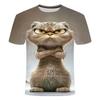Men'T-Shirt Personality Funny 3D Cat Animal Printed T Shirts Summer Loose Short Sleeved T-shirts