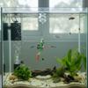 Resin Material Resin Floating Diver Simulation Diver Fishing Line Underwater Ornament Small Floating Ball