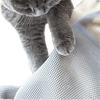 Custom Comfortable Cat Bed With Mesh Fabric For Ultimate Relaxation