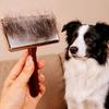 Dog Comb Solid Wood Pet Hair Comb Large Combs for Dogs Hair Knot Cleaning Face Cat Brush Comfortable Wooden Handle Dog Brush