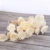 For Aromatherapy Living Room Natural Tongcao Flower Aromatic Incense Dried Flowers Diffuser Sticks