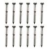 12lots Notched Bridge Screw Simple Installation for Quick Stage Setups and Sustained Tuning Accuracy