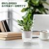 T4U 10CM Self-Watering Planter, Plastic Flower Pot, Set of 4, for Houseplants, Stylish, Self-Watering, with Watering Tie, for Outdoor and Indoor Use,