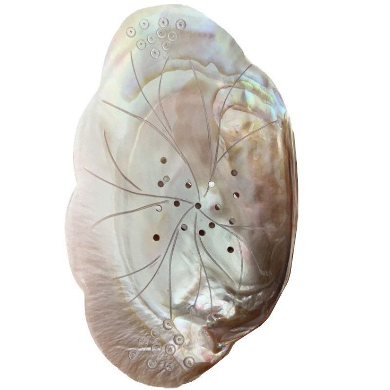 Natural Shell Polished Fruit Plate Caviar Plate Hotel Table Shooting Props Shell Plate Pearl Shell Tray