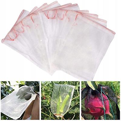 Bags Covers For Fruits, Vegetables And Pests 50 Pcs