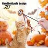 Spooky Spider Pumpkin Skull Toys Halloween Cat Wand Toy, Interactive Toy with Feathers And Bell, Designs, Ribbon for Indoor Cats Lightweight
