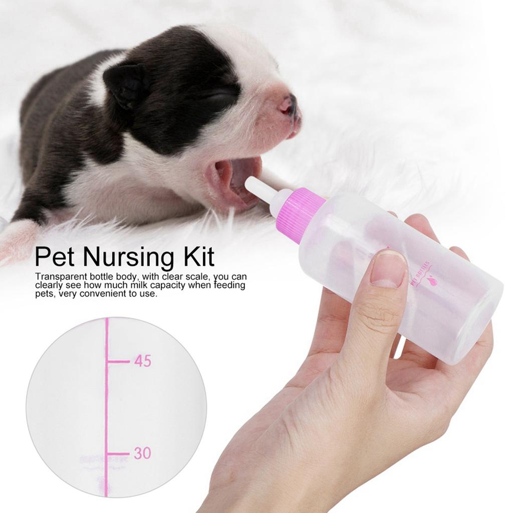 6PCS  Set 60ml Pet Puppy Kitten Feeding Bottle Small Dog Cat Milk Nursing Care Kit