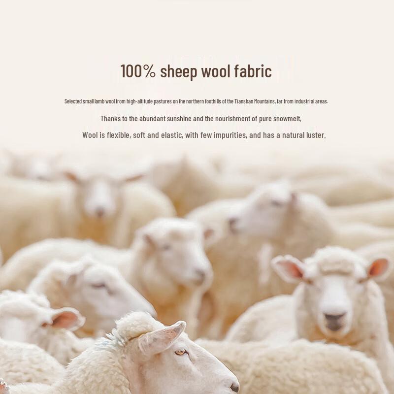 Shanghai Story 100% Wool Plaid Scarf