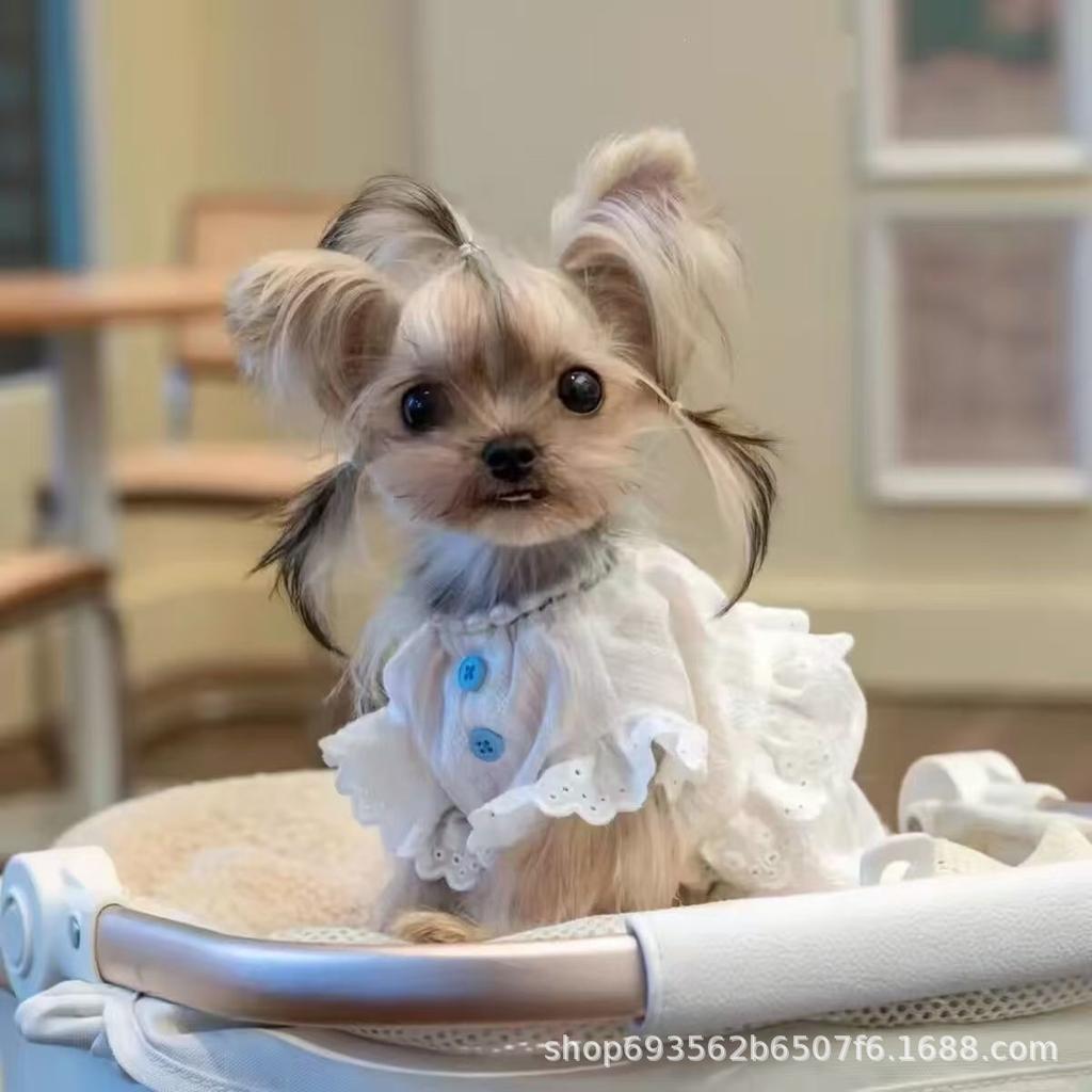 Pet Spring Striped Dress Cat Loose Breathable Flying Sleeve Shirt Small Teddy Tank Top Dog Dresses for Small Dogs