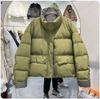 2024 European Style Color Block Stand Collar Down Jacket: Trendy, Loose, Short, and Thick Women's Fashion for Autumn/Winter