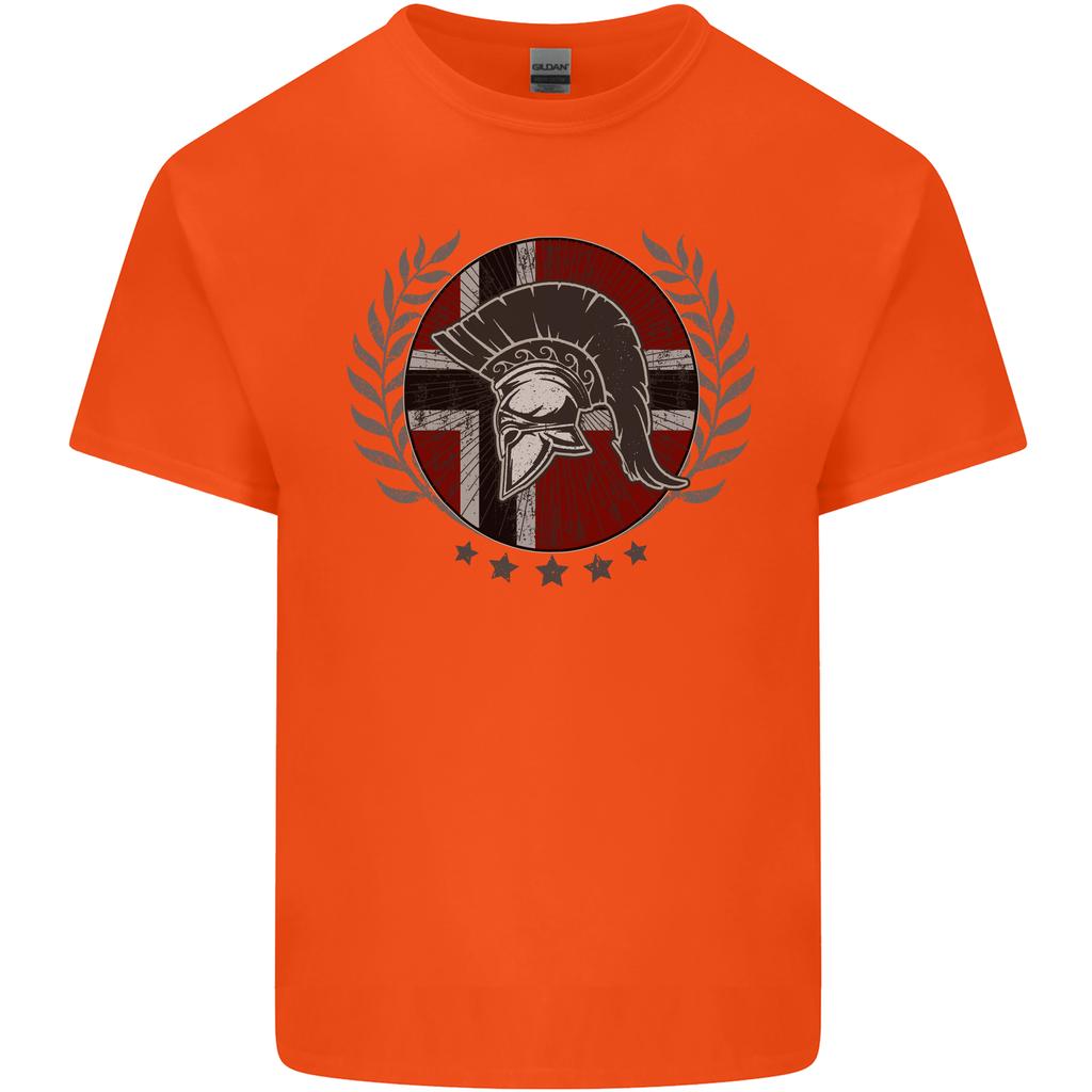 Norway Bodybuilding Flag Gym Training Spartan Unisexs Light Cotton TShirt